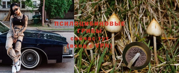 мяу мяу кристалл Богданович