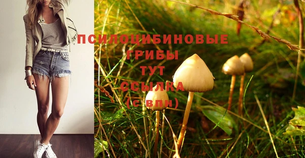 метамфетамин Богородицк